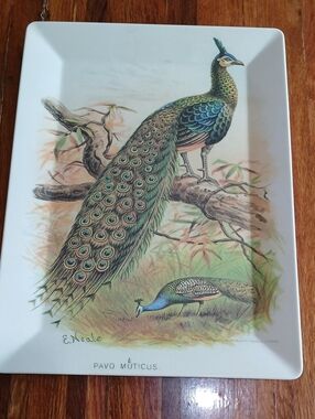 Pottery Barn Peacock Melamine Tray